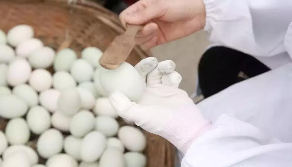 传承了280多年！这道来自嘉兴平湖的奇特美食，你吃过吗？