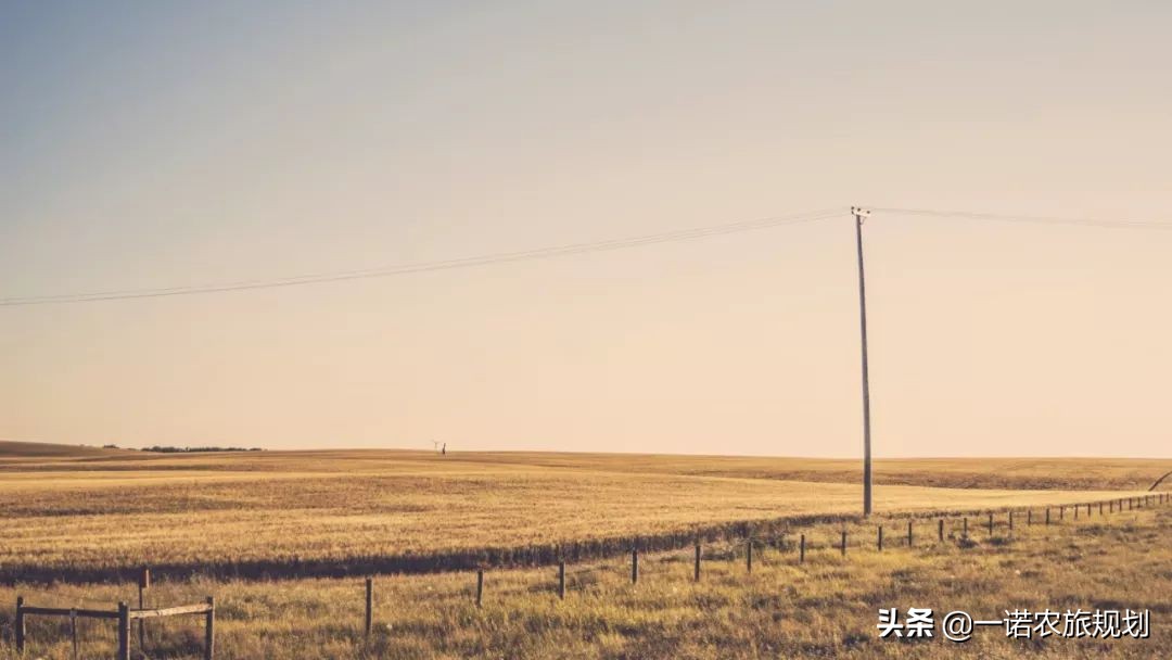 乡村经济未来发展展望,乡村产业未来发展方向