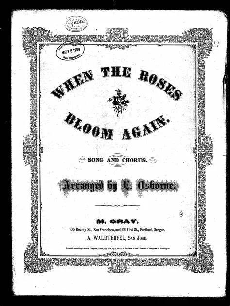 丝袜为什么是横丝,丝袜为什么是丝的