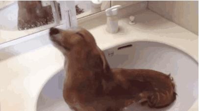 南方人洗澡搓泥吗,南方人洗澡为什么搓不出泥