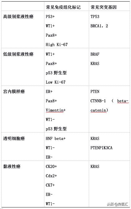 2018年版卵巢癌诊疗规范