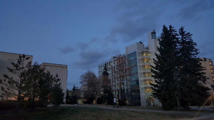 卡尔加里水质太硬怎么办,卡尔加里大学世界排名2022