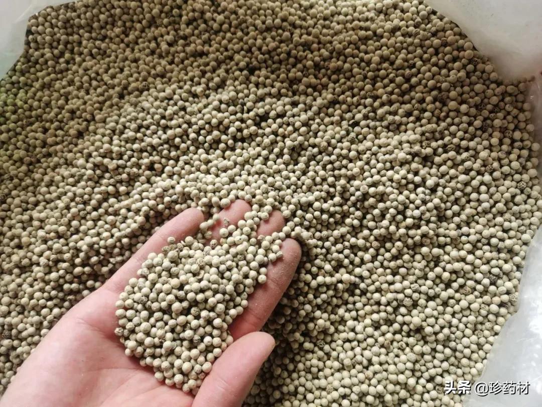 药材产地行情日报,2020年7月药材市场药材价格快讯