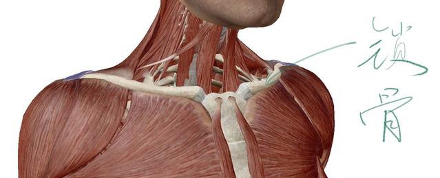 儿童高处坠落多久出现症状,孩子高处坠落摔到头会有什么反应