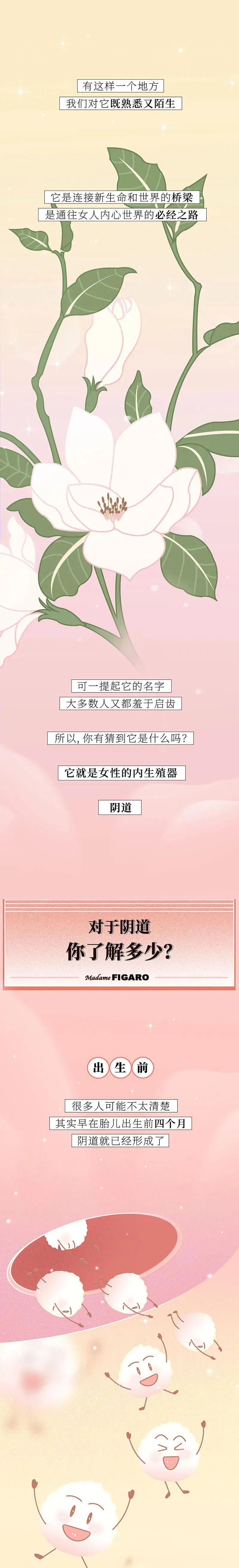 关于“阴道”，女人知道多少？（漫画）