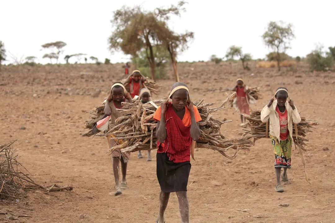 带女儿走进安博塞利国家公园，从野生动物身上收获“生命启蒙课”