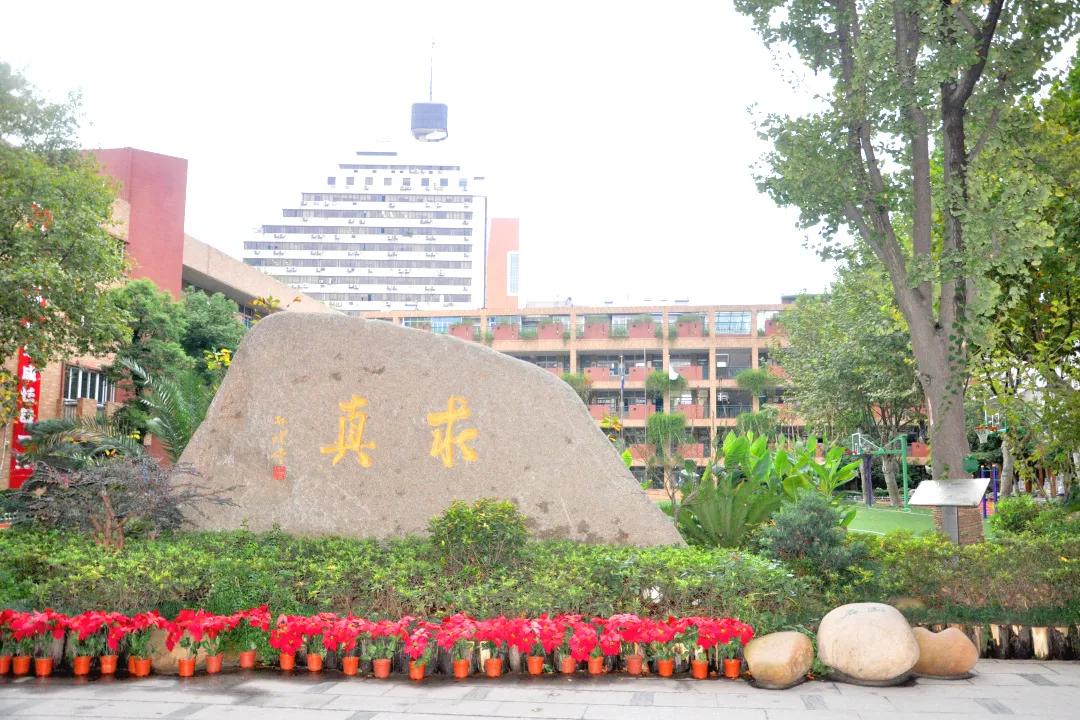 最美的风景美丽的校园,最美的风景就是校园