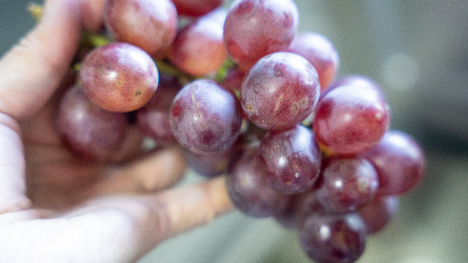 方太水槽洗碗机e5可以洗多少套,方太e5洗碗机空间