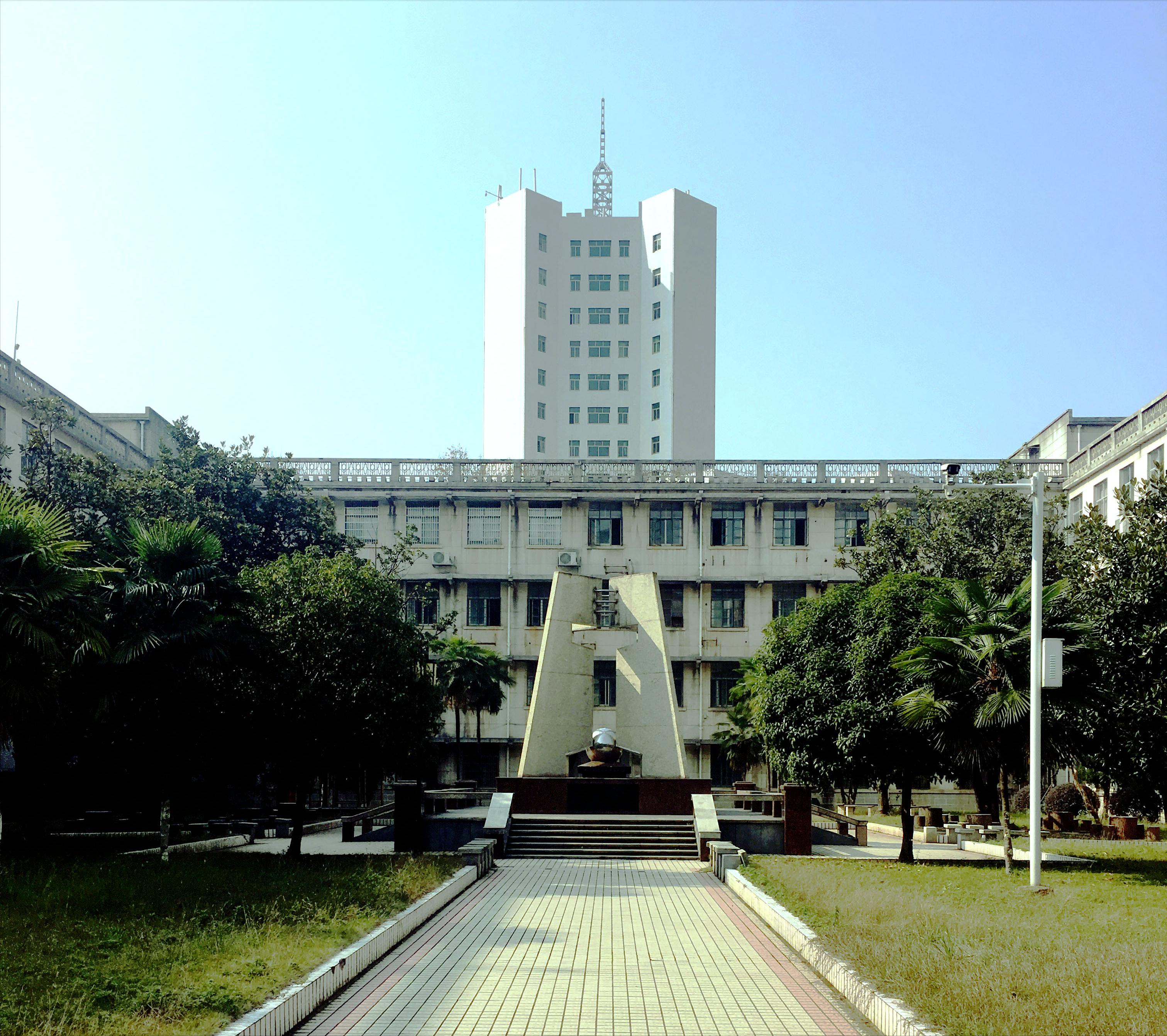 香樟往事——05真正的朋友