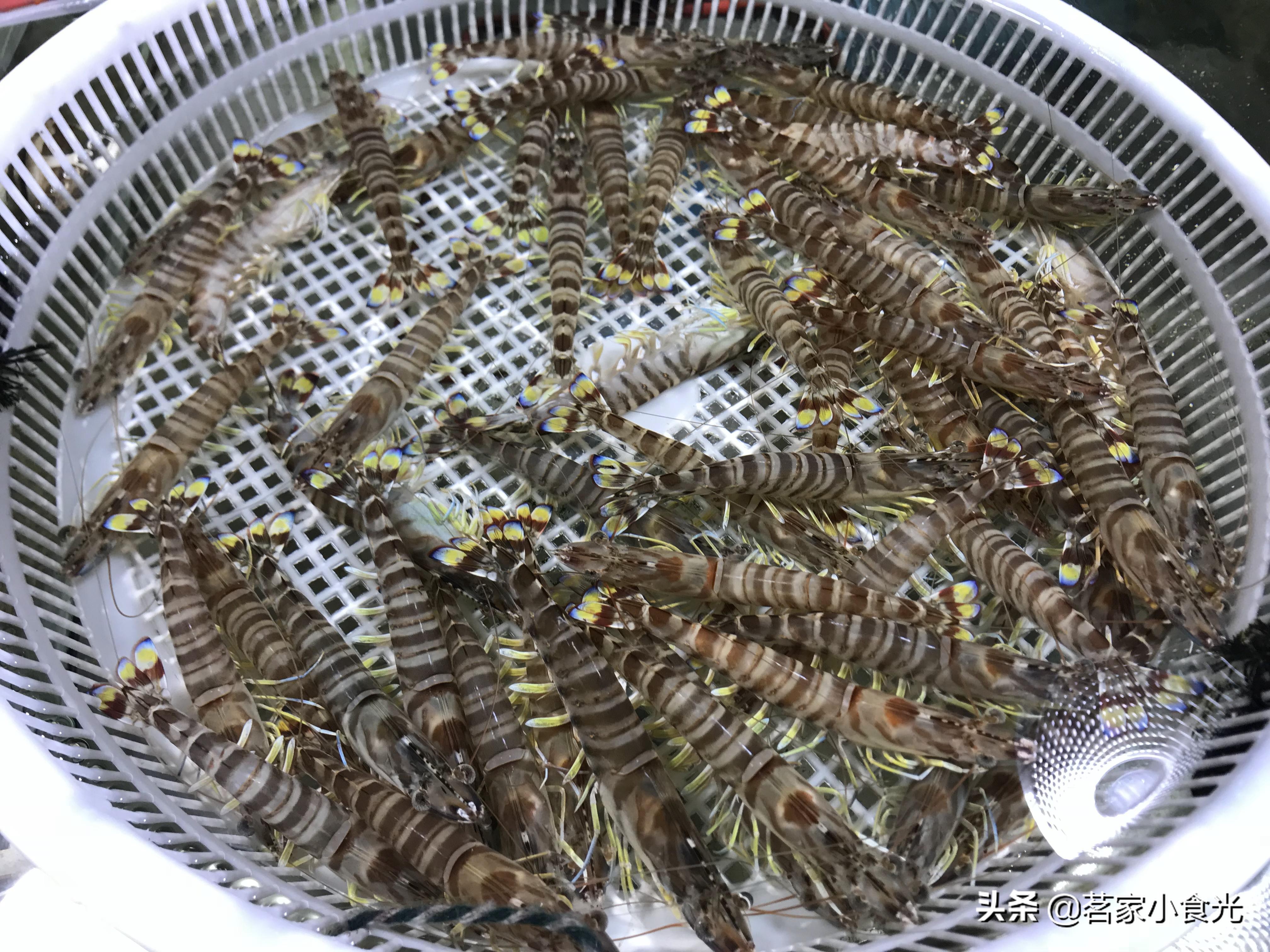 探店石家庄高端自助,吃喝玩转石家庄探店价格