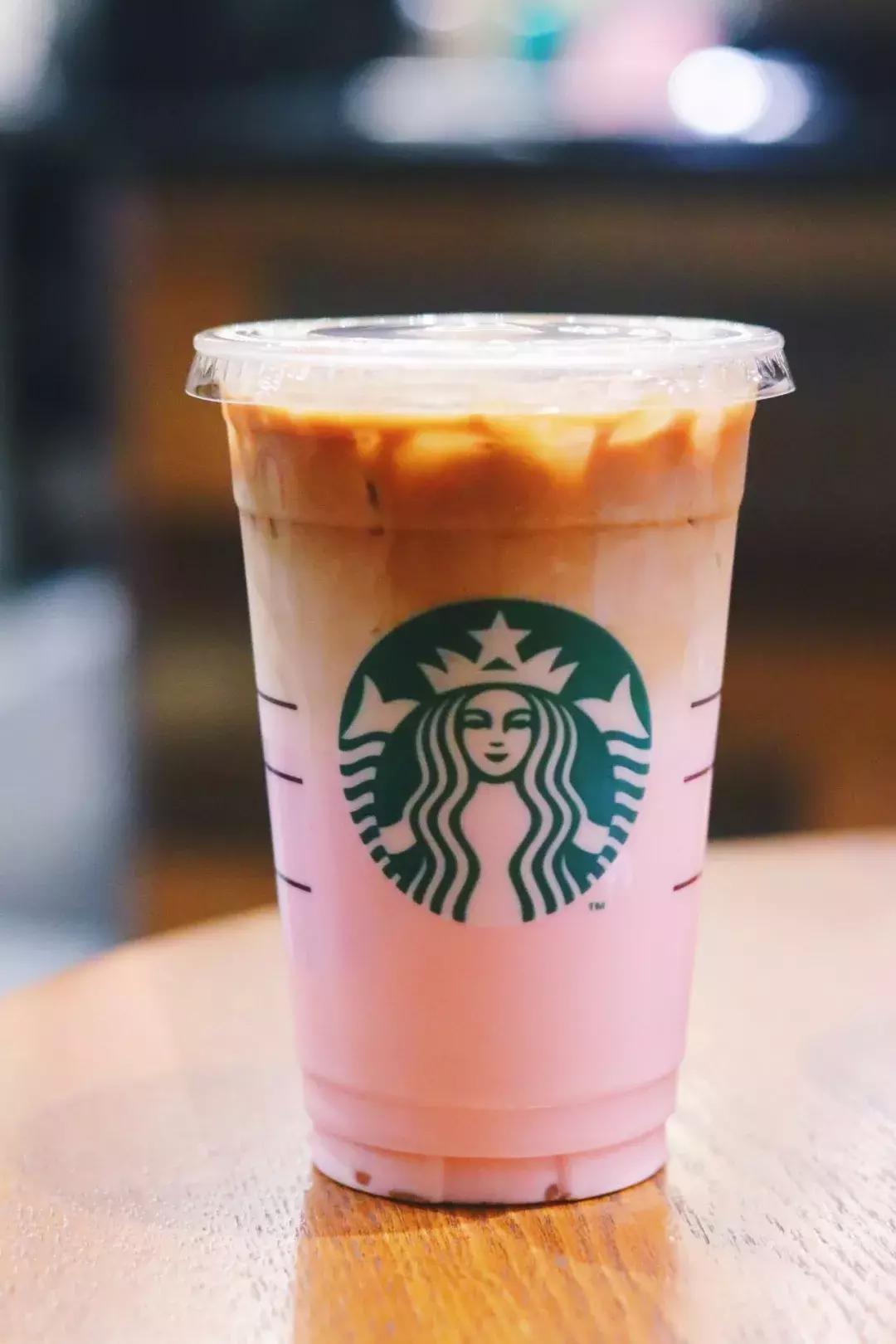 没时间去赏春,没时间去踏青