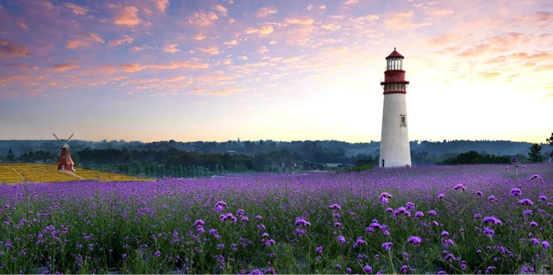 成都天府新区有什么景点,成都天府新区有哪些景点