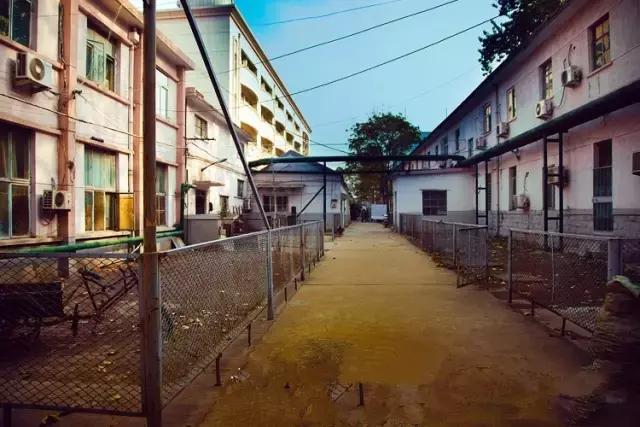 山师附中,山师附中历下区