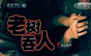 蒙眼6分钟完整版视频,迷惑性最强的十种骗术