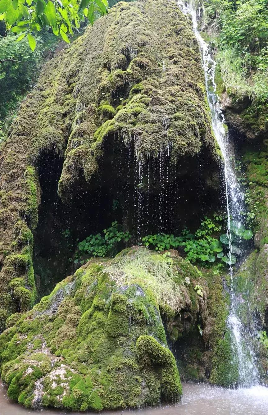 洛阳周边竟藏了个“北国小江南”！山水俱佳，堪称世外仙境