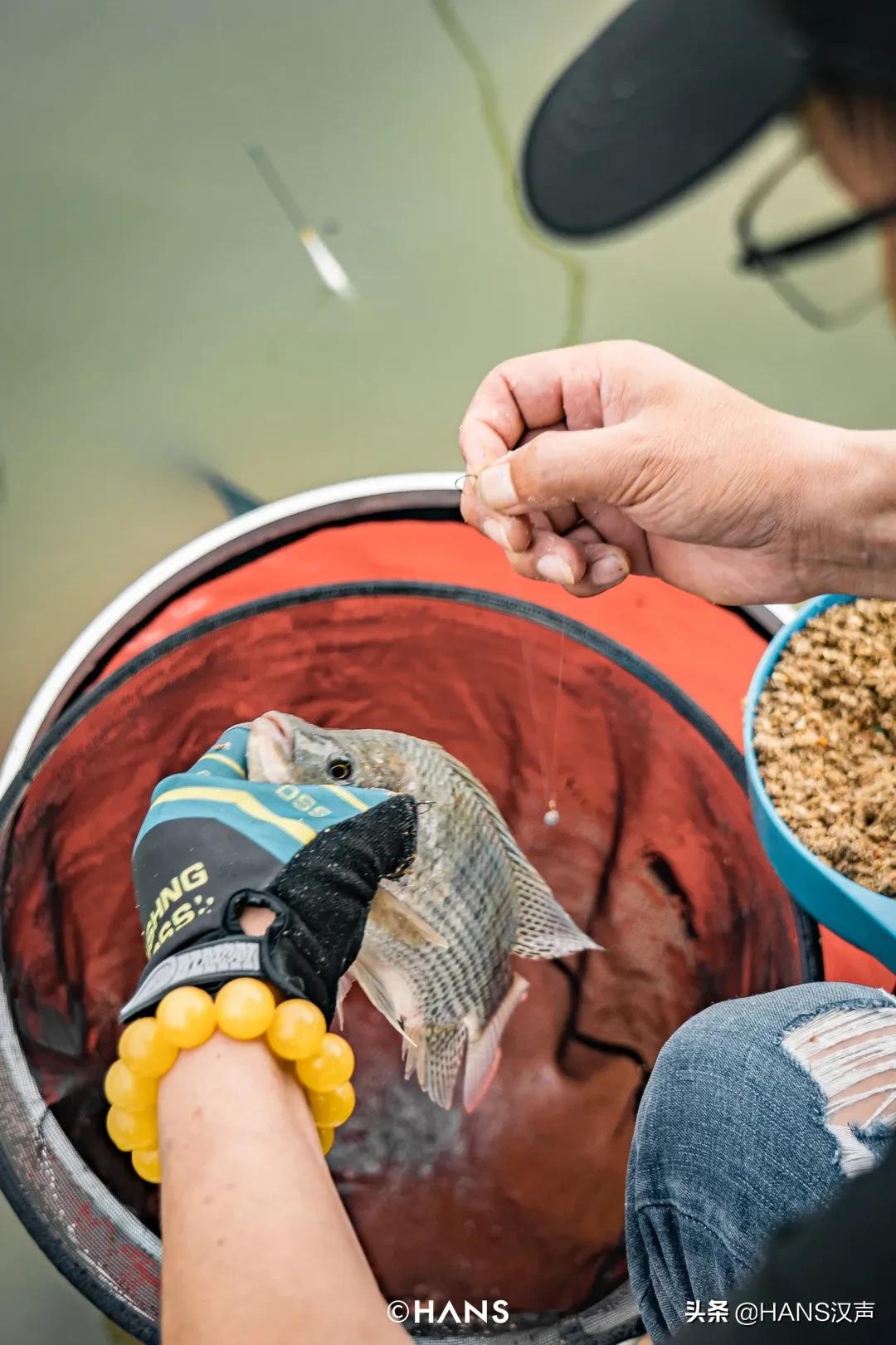 天元邓刚在湖北枣阳钓鱼的视频,武汉天元邓刚视频