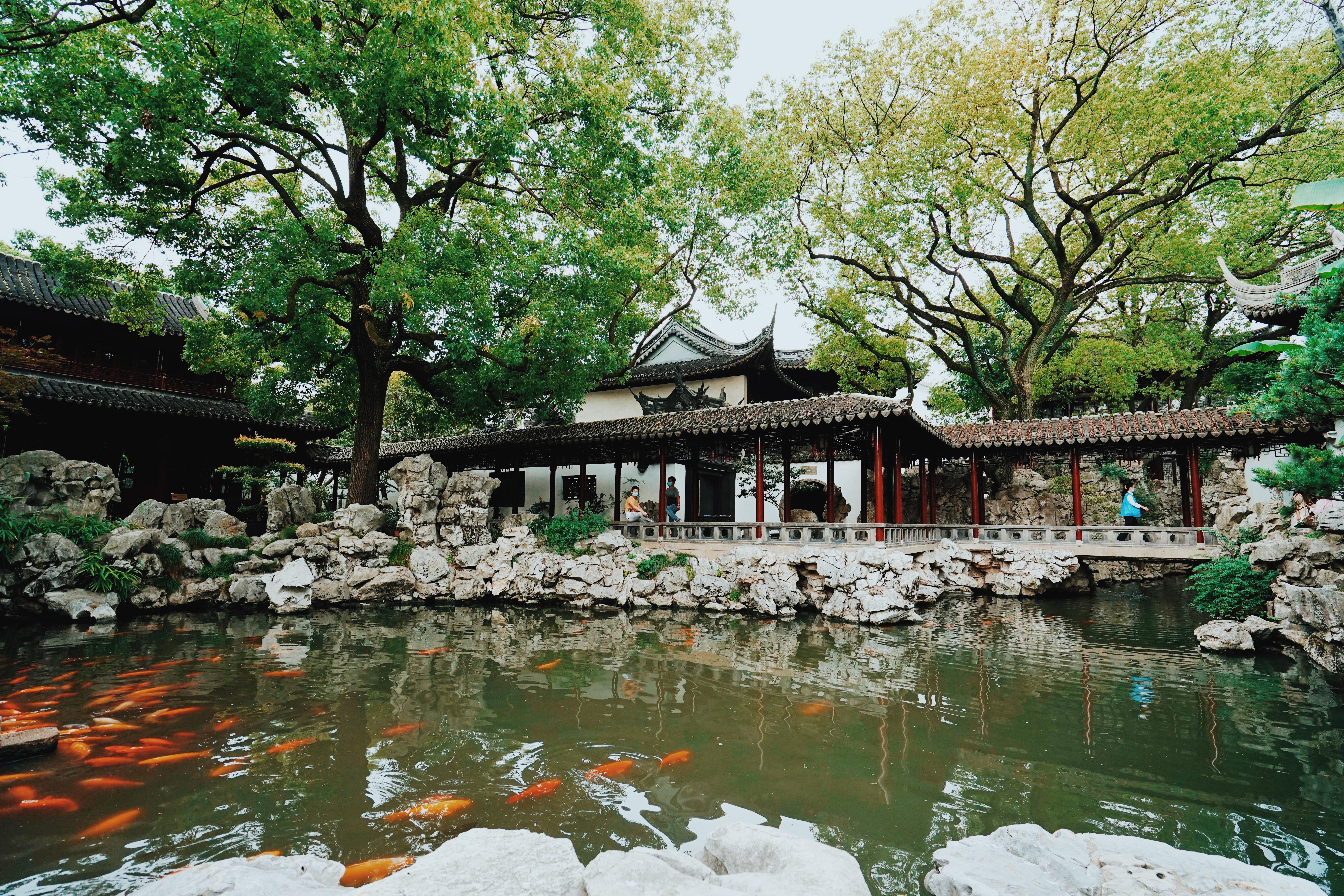 沪上名园豫园,沪上名园之豫园