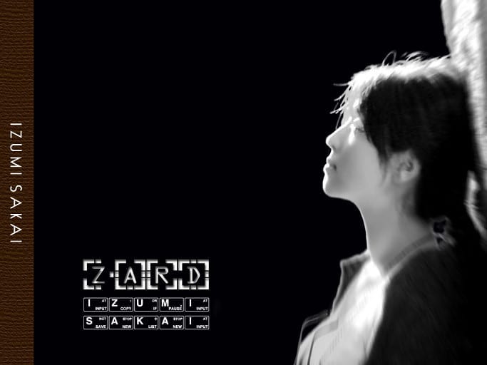 坂井泉水历代专辑,不要忘记那个微笑坂井泉水