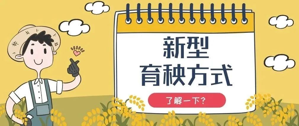 青春实践行NO.11|志愿者们的扬州“百景”，等你来赏