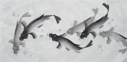 鲤鱼是一种什么样的鱼类,鲤鱼是在哪些地方洄游