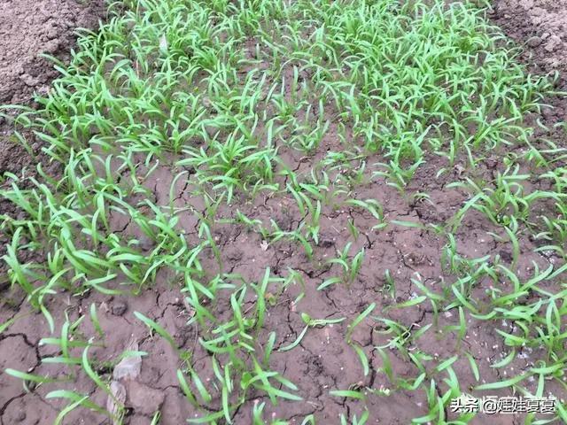 我在乌克兰视频,我在乌克兰