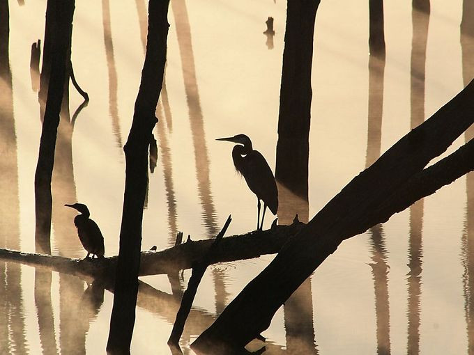 文学理论常识,文学理论吐血整理