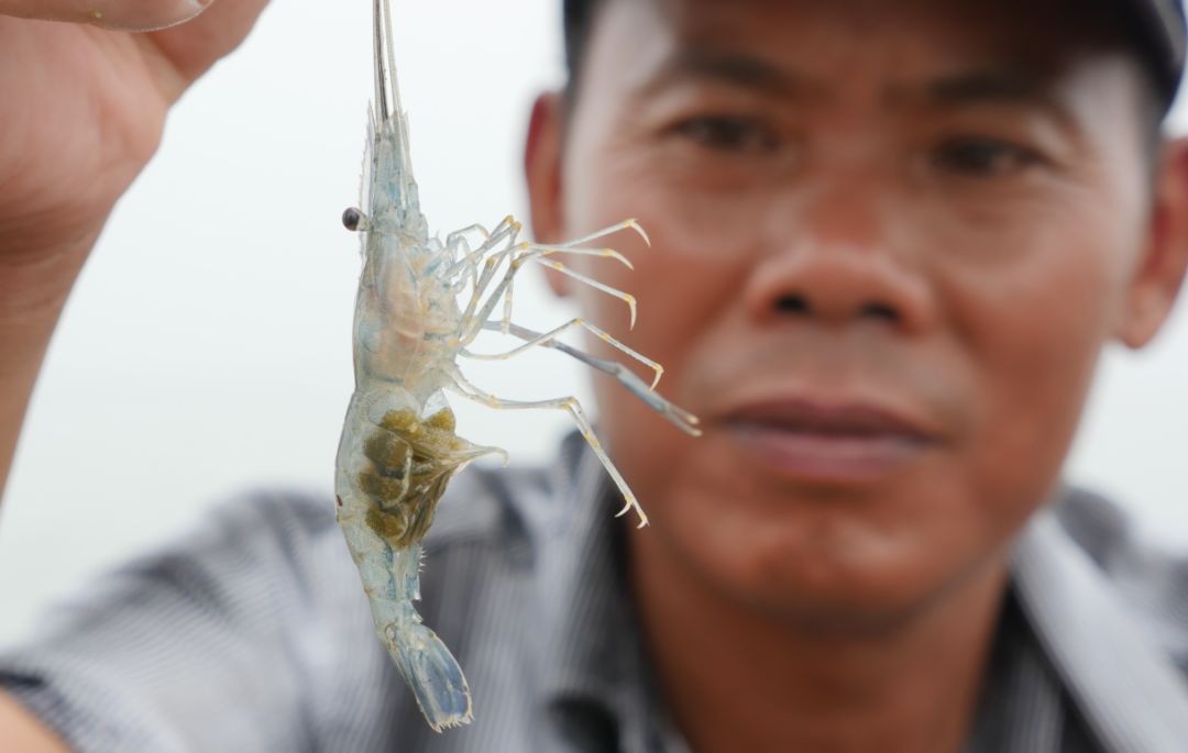生鲜库存积压如何快速变现,库存堆积如山怎么找销路