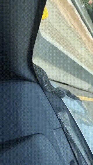 真心话大冒险输了剧情,真心话大冒险认真就输了