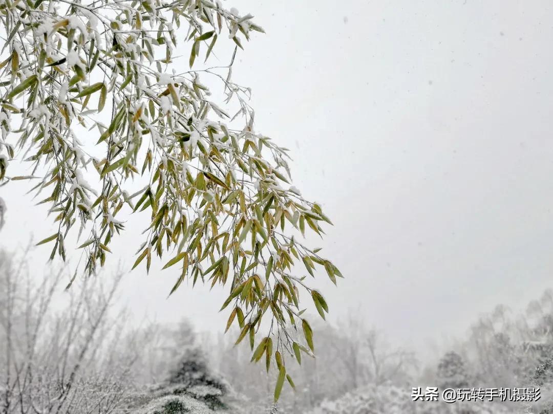 朋友圈赞爆的美照,雪景美爆朋友圈