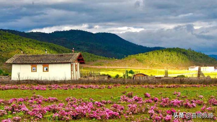 迪庆藏族自治州旅游景点地图,云南迪庆旅游攻略必去景点大全