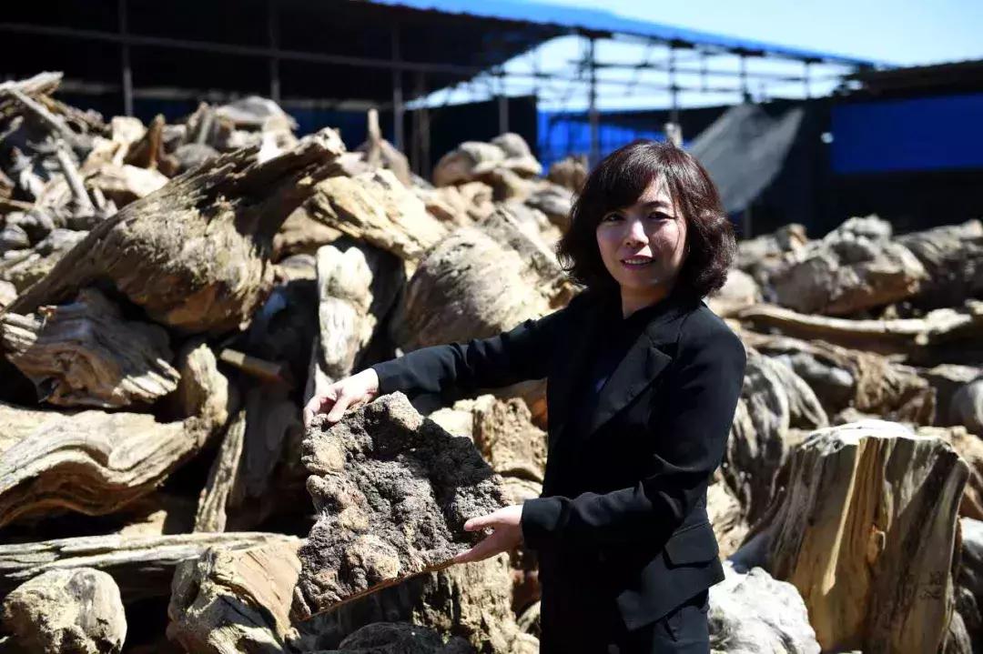 笑傲江湖功夫秘籍,笑傲空明绝学攻略