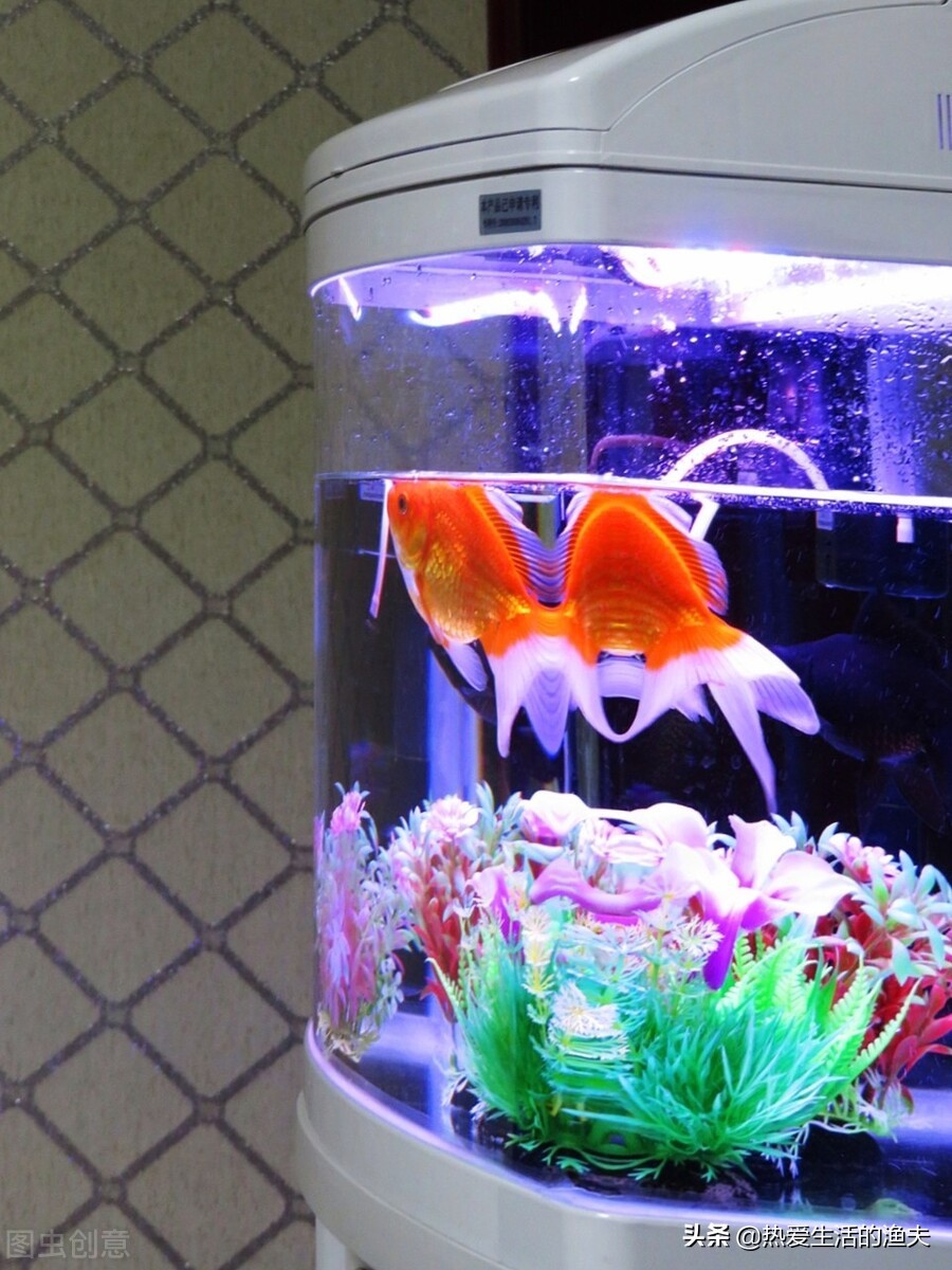 鱼缸水浑浊用什么过滤最好,鱼缸底滤水浑浊怎么变清过滤器材