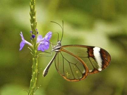 从磁带到cd到mp3周杰伦,从录音带到光盘到u盘