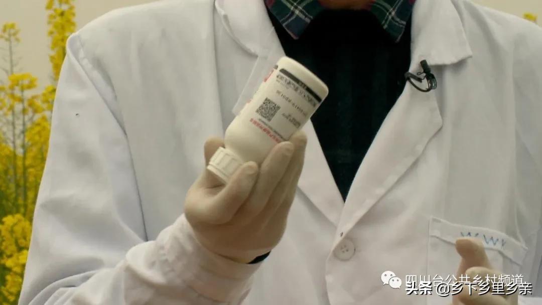 油菜得了病用什么药,油菜生病了怎么防治