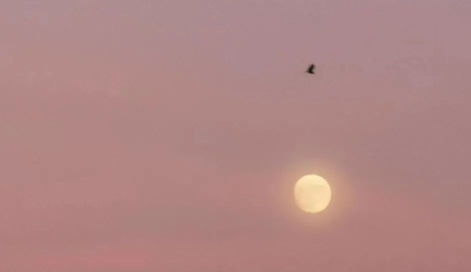 一生从未被人好好爱过,很遗憾从来没有被人好好爱过