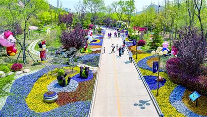 青岛花卉博览会什么时候开门,青岛市第三届君子兰花展