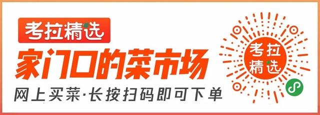 怎么做考拉精选团长,考拉精选团长怎么赚钱
