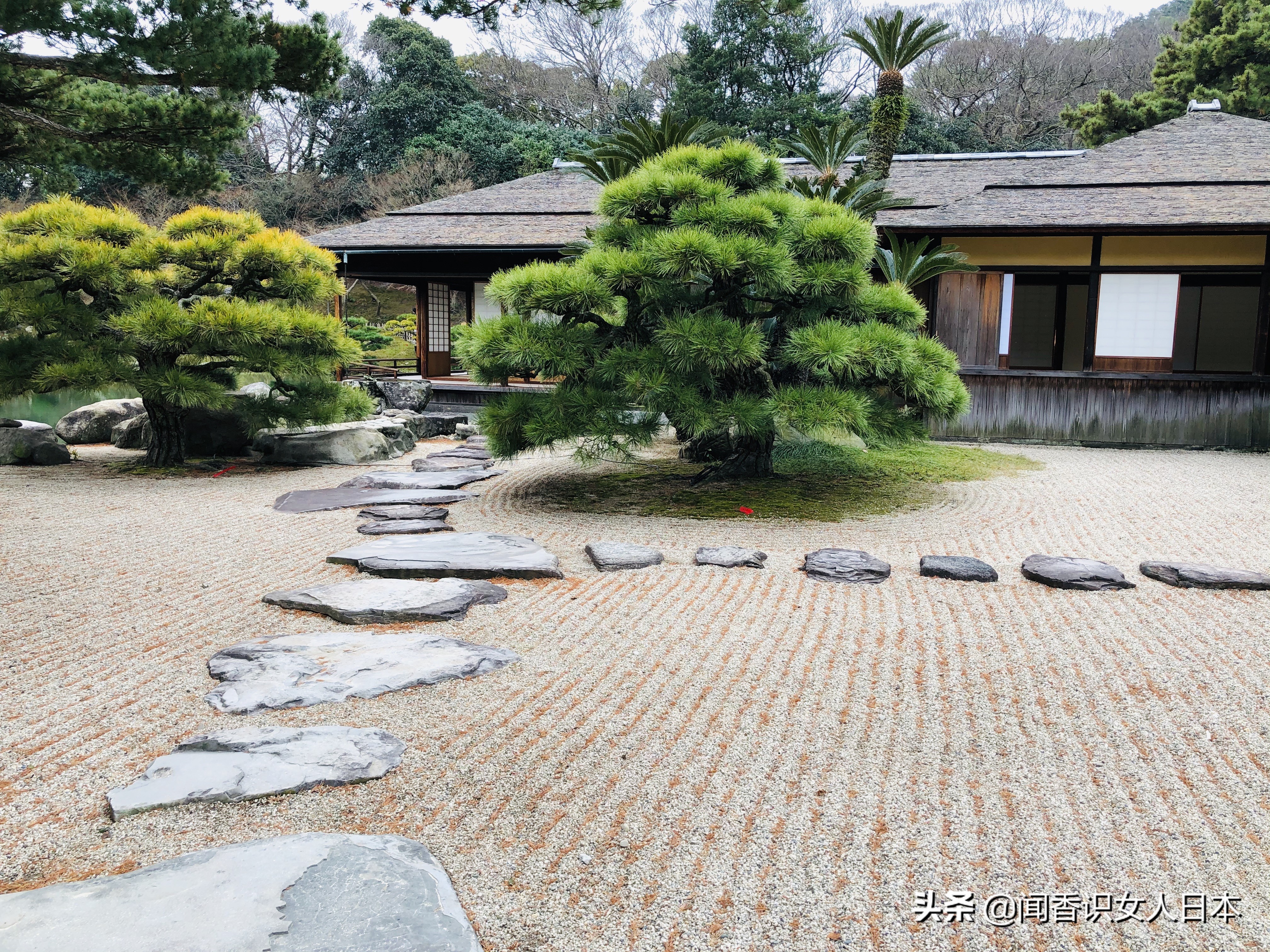 日本的米其林三星餐厅,日本米其林三星参观