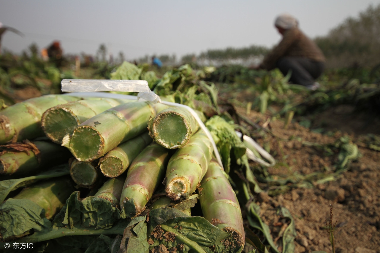 失眠有四种情况,急慢性失眠时间区别