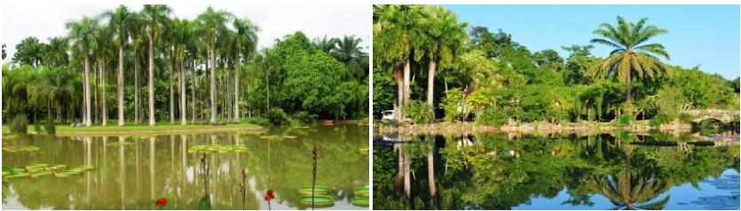 西双版纳原始森林门票,西双版纳所有景点门票一览表