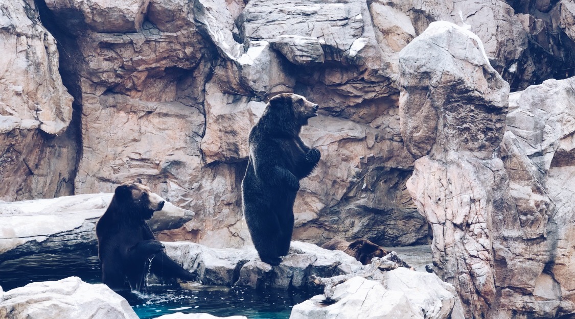 珠海长隆海洋王国吃住旅游攻略,最新珠海长隆海洋王国一日游攻略