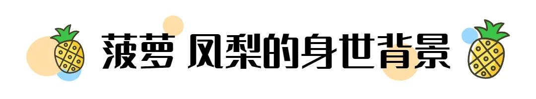 菠萝和凤梨到底是不是同一种水果,与凤梨菠萝相似的水果