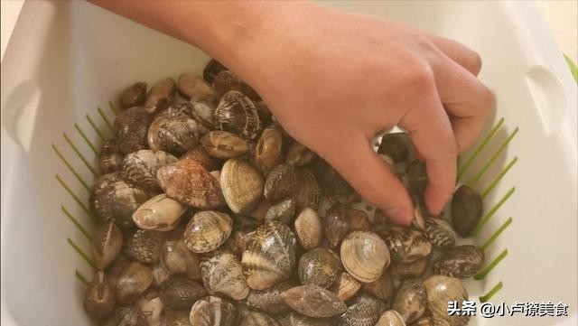 去青岛必吃红岛小蛤蜊,青岛海鲜黄皮蛤蜊吃法