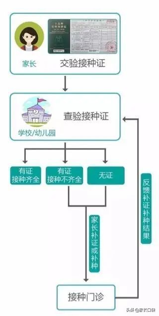 幼升小需要带小白卡吗,幼升小报名证件清单