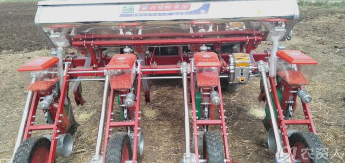 玉米花生种植高产技术,玉米高产高效种植技术