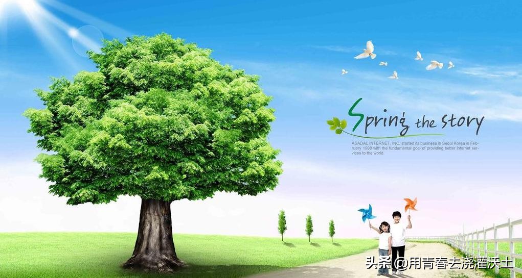 小学语文六年级必考知识点,小学语文中考必考知识点汇总