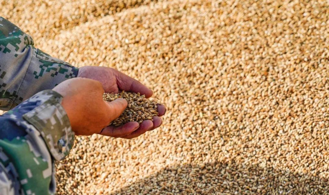 国之德g6怎么样,国之德g6有几种包装