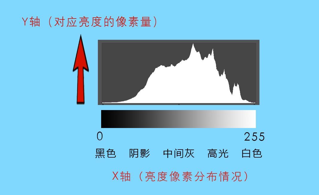 曲线要怎么记容易学得快,曲线难学吗