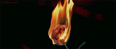 面纱掩盖着的，是一个少女的贞洁，也是整个帝国的命运