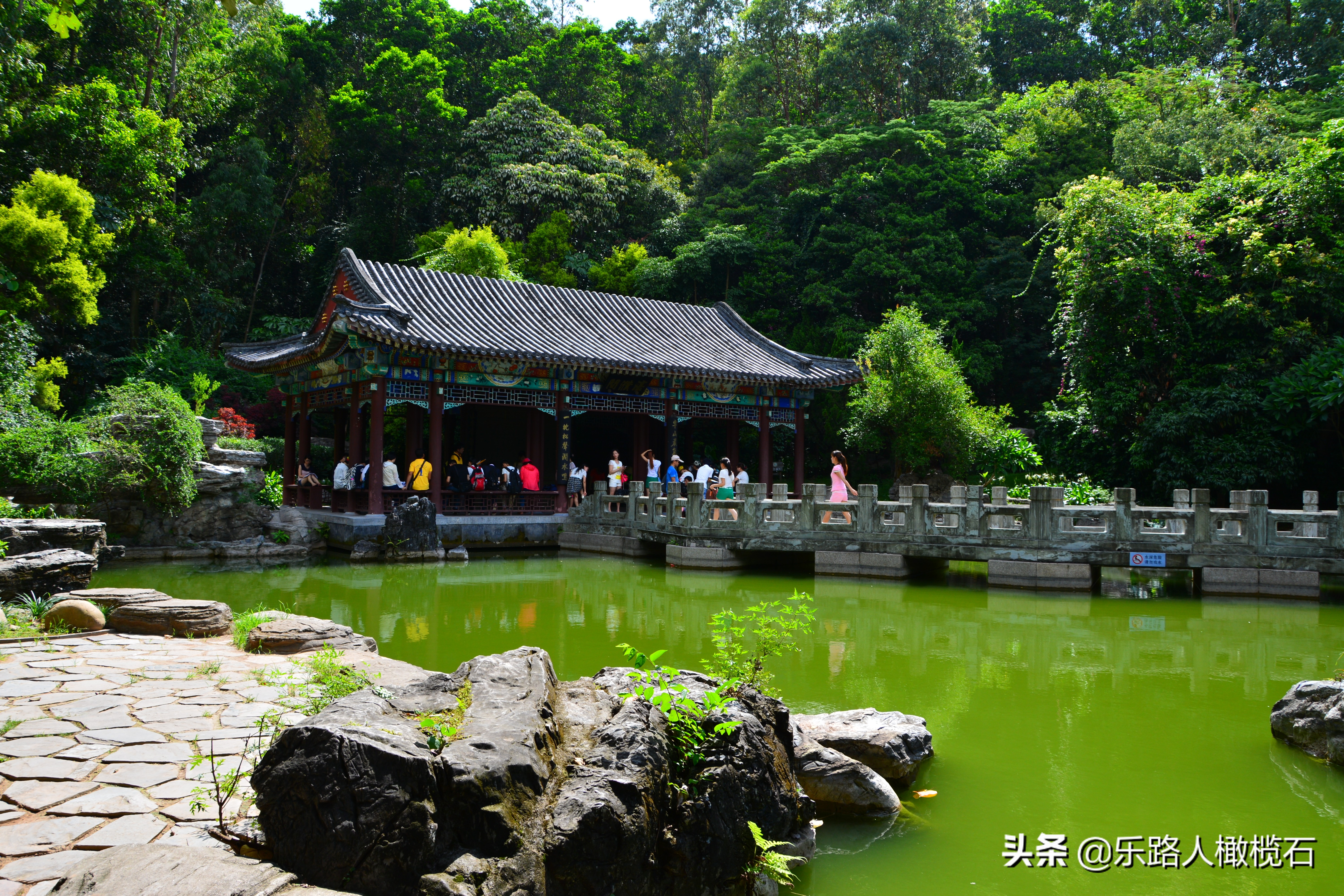 深圳园博园有什么好玩的,深圳园博园旅游指南